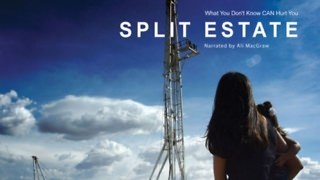 Split-Estate-movie-1