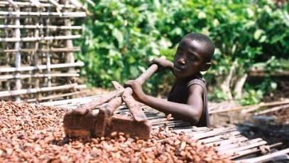 Ivory-Coast-Chocolate-Child-Labor-Slavery