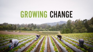 growing-change