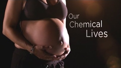 our chemical lives