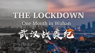 the-lockdown