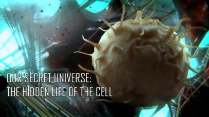 the_hidden_life_of_the_cell_1