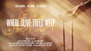 olive-trees