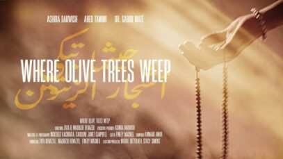 olive-trees